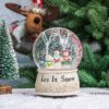 Snow Globe